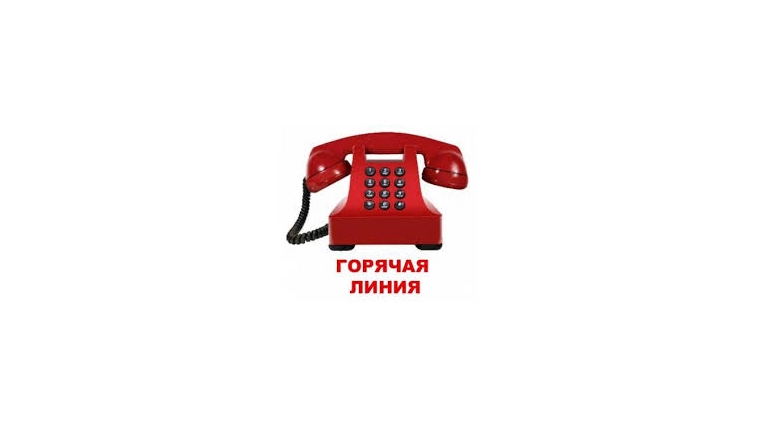 Телефон горячей линии по вопросу «неформальной занятости».