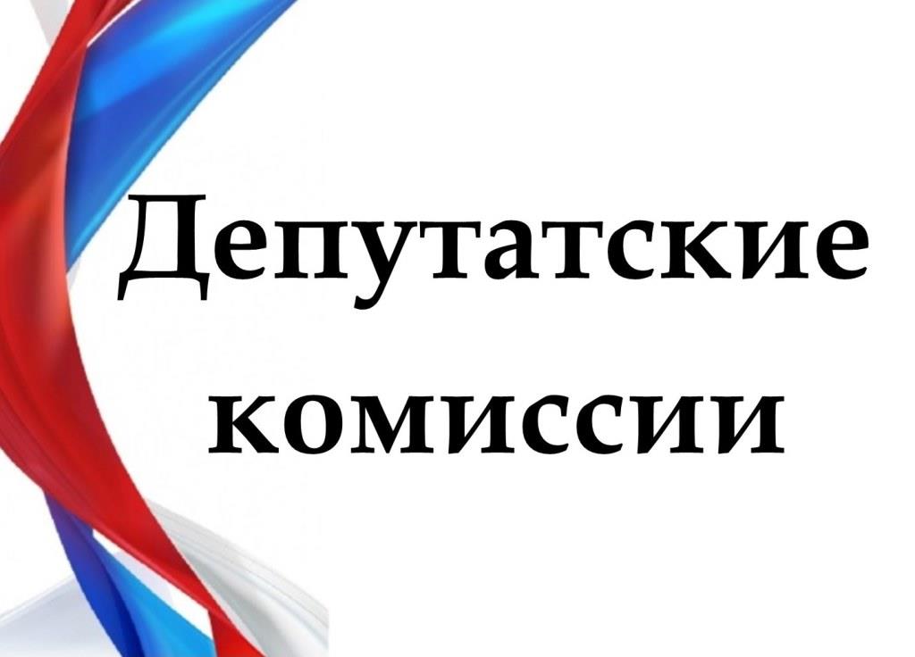 Заседание постоянной депутатской комиссии по бюджету, финансам, экономической и инвестиционной политике.