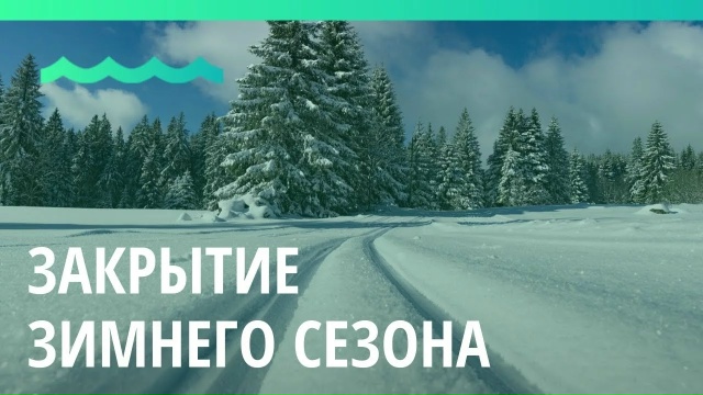 Соревнования по лыжным гонкам.