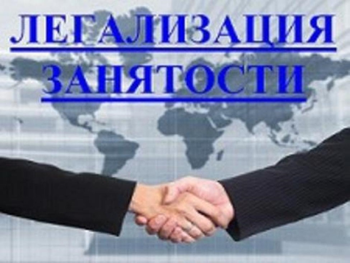 Заседание рабочей группы межведомственной комиссии по противодействию нелегальной занятости и противодействию формированию просроченной задолженности по заработной плате.