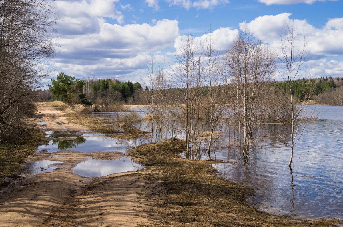 В Кировской области большого подъема воды в половодье не прогнозируется