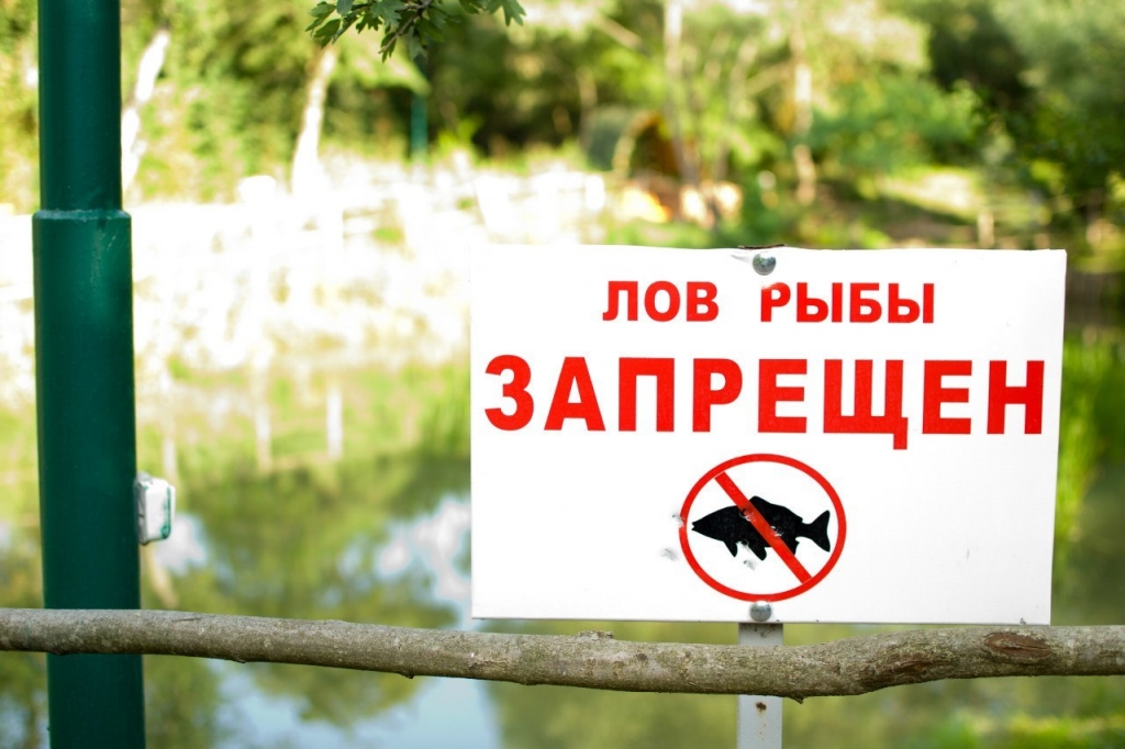 Весенние запреты на рыбную ловлю.