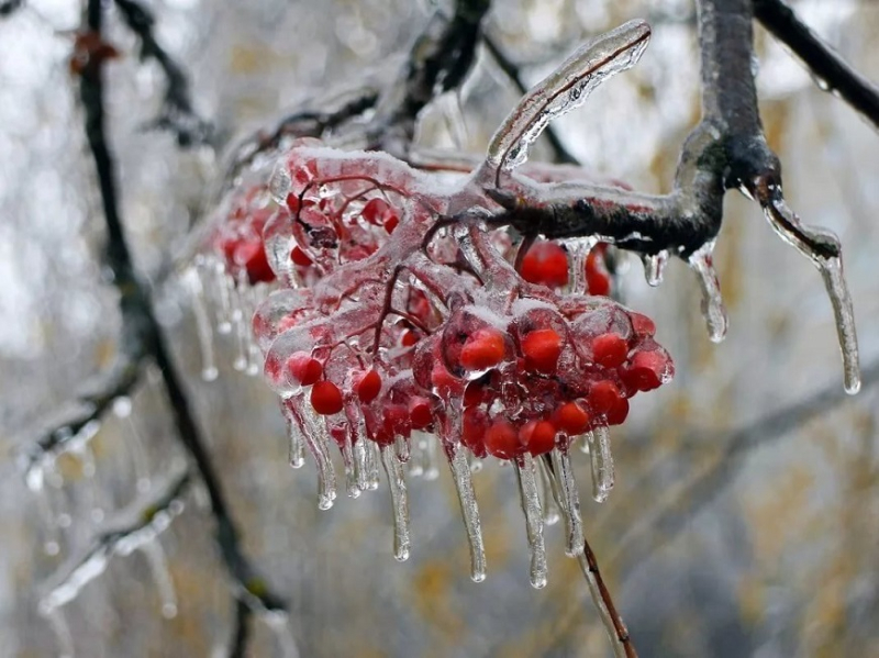 В Кировской области ожидается ледяной  дождь.