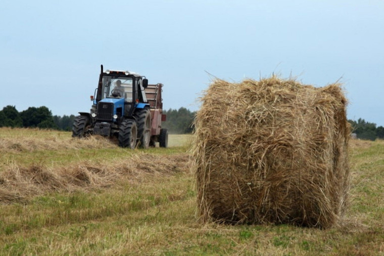 Информация по заготовке кормов в сельхозпредприятиях округа.