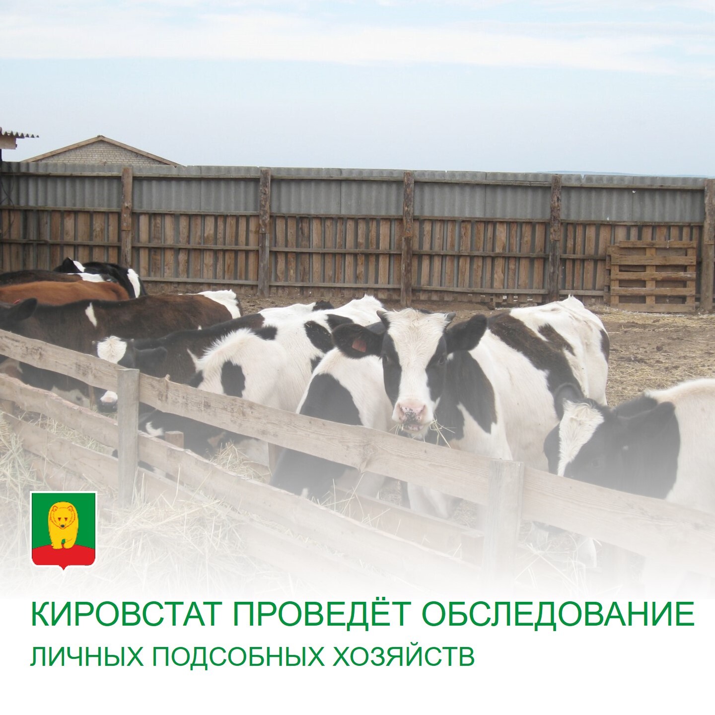 С 25 сентября по 6 октября на территории села Пашино пройдет выборочное обследование личных подсобных хозяйств.