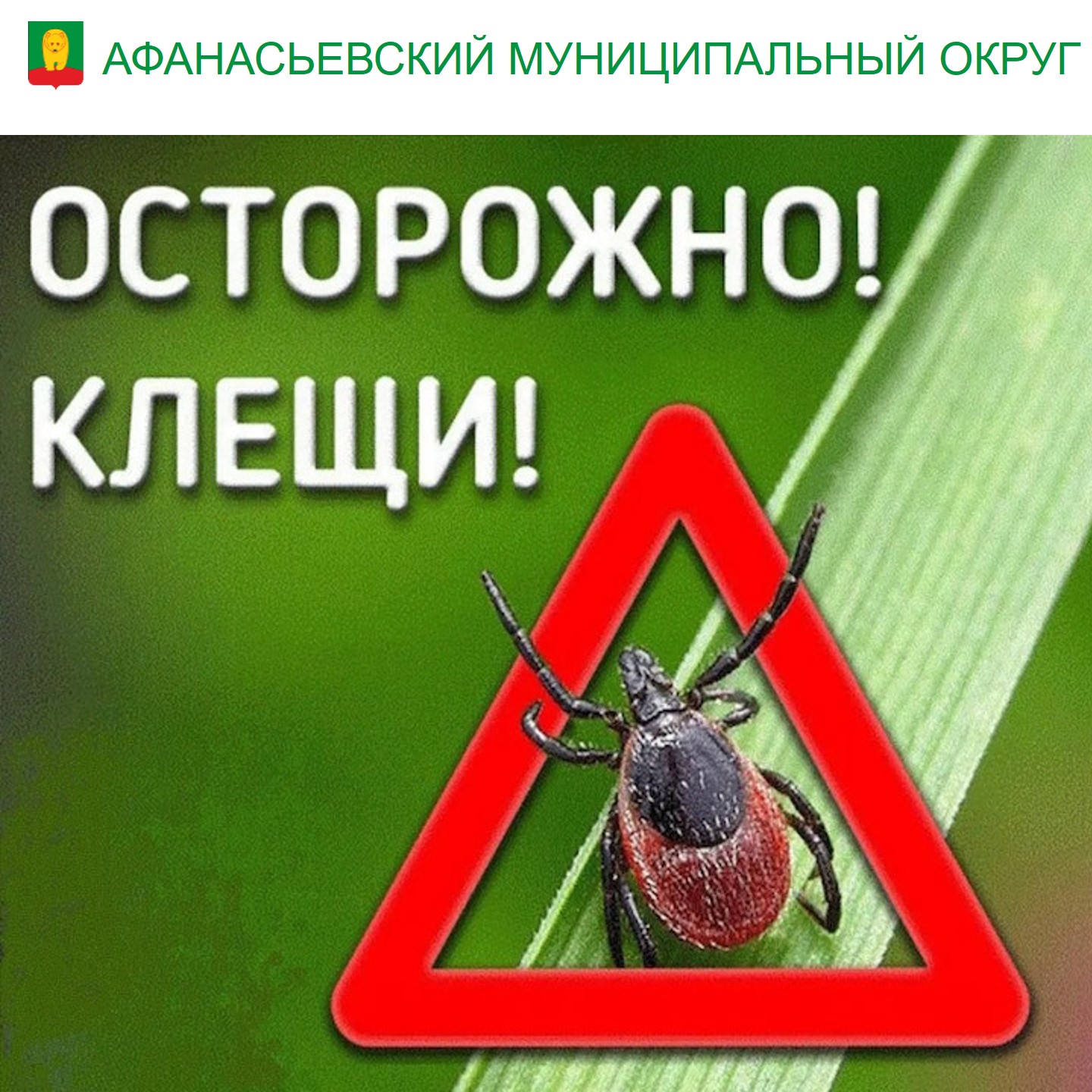 Осторожно! Клещи!.