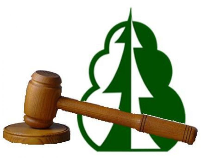 Информация об аукционах на право заключения договоров купли-продажи лесных насаждений в электронной форме