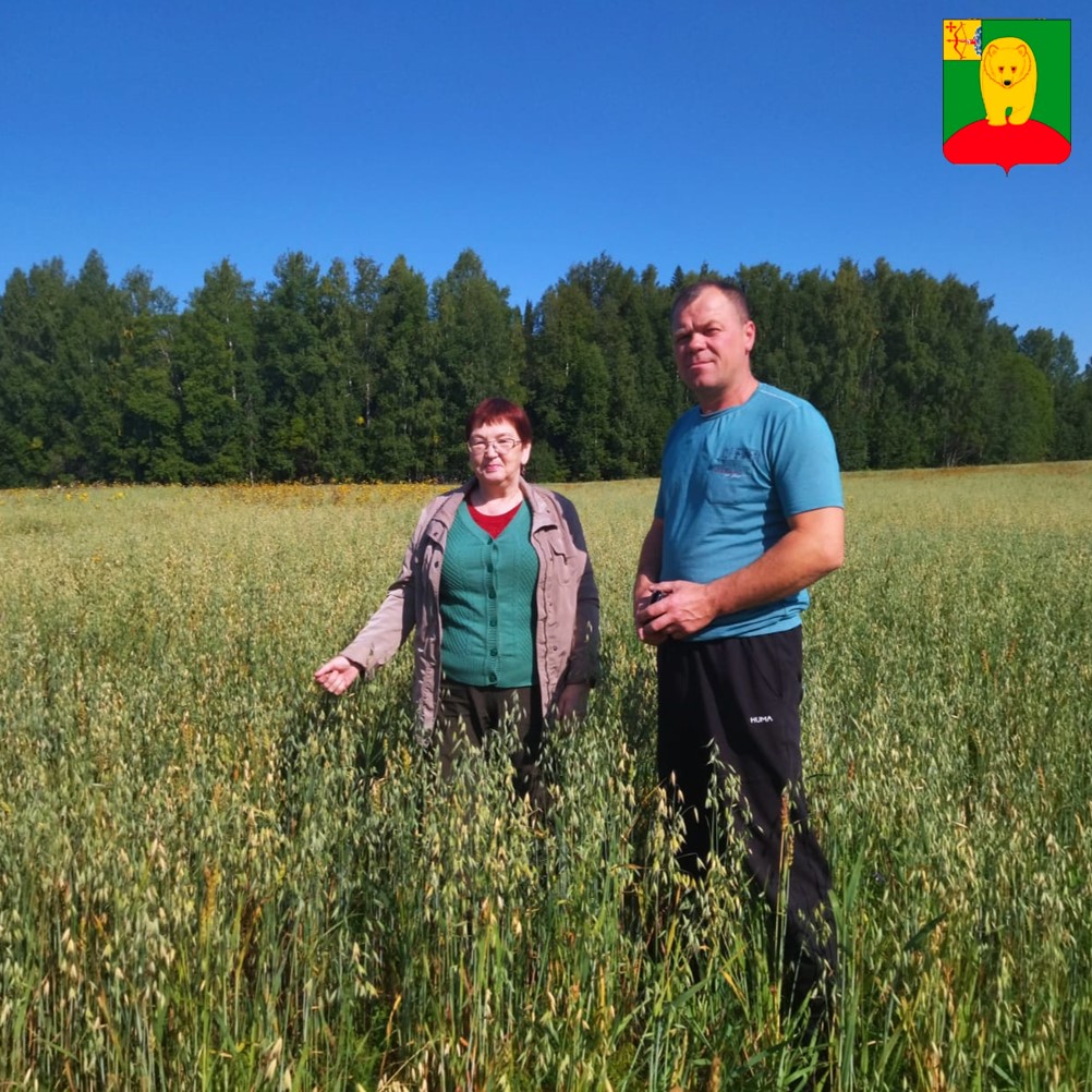 За качество семян: в хозяйствах муниципального округа проводится апробация семенных посевов.