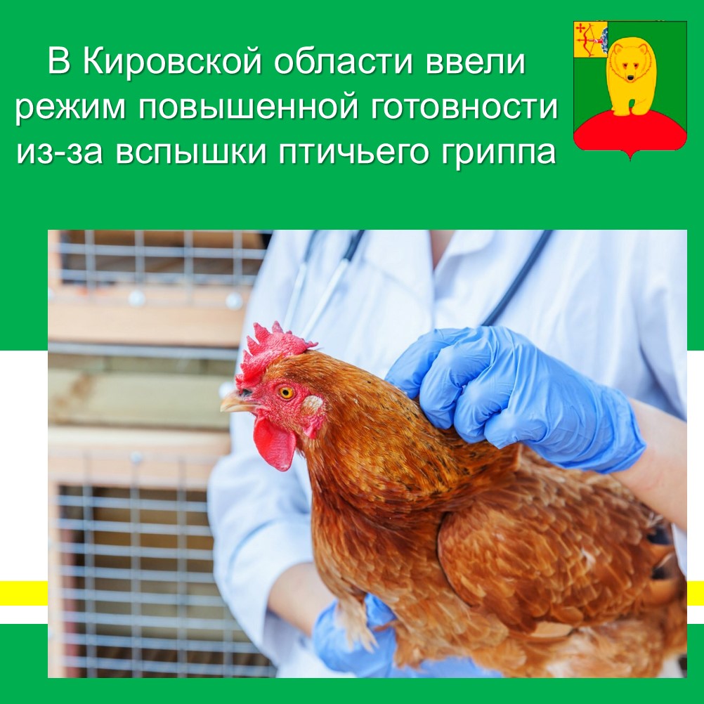 В Кировской области ввели режим повышенной готовности из-за вспышки птичьего гриппа