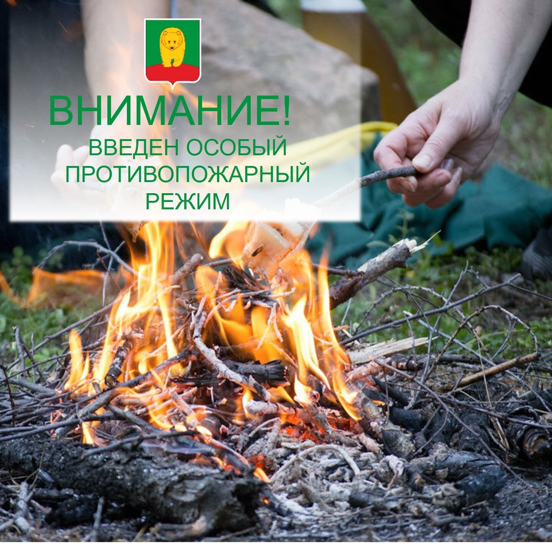 B Кировской области введён особый противопожарный режим.