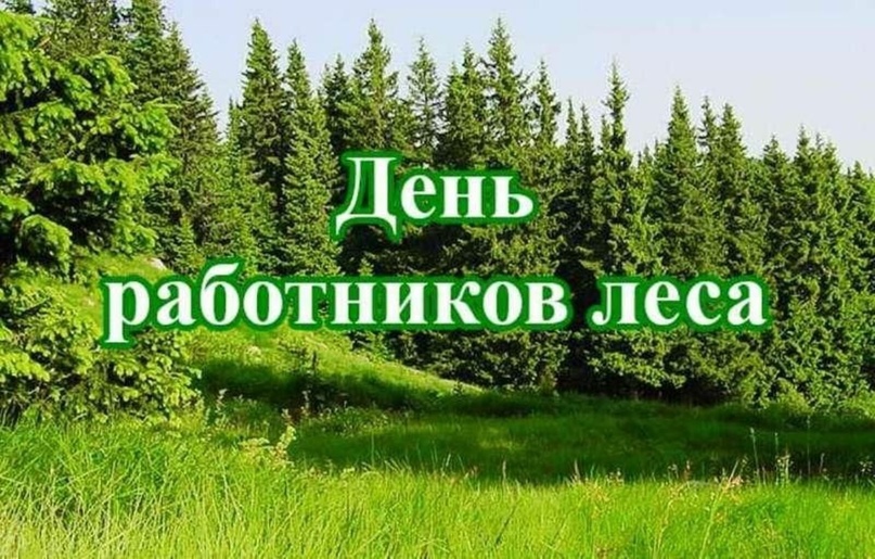 Поздравление главы муниципального округа с Днем работников леса!.
