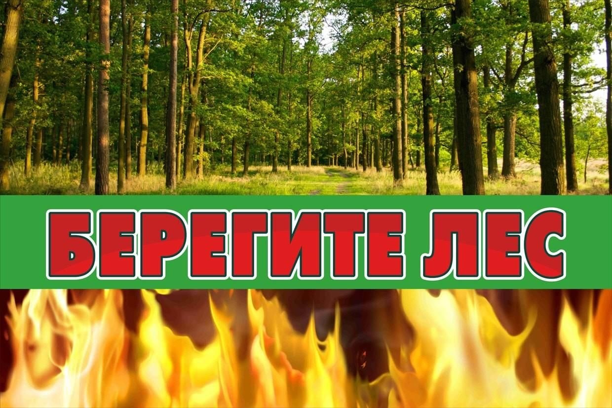 Берегите лес от пожара!.