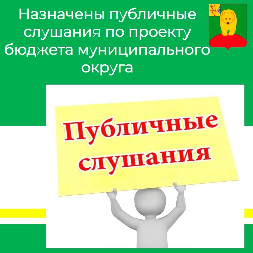 Обсуждаем проект бюджета муниципального округа.