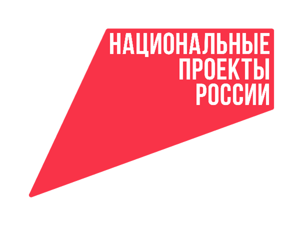 Итоги реализации нацпроектов – 2025.