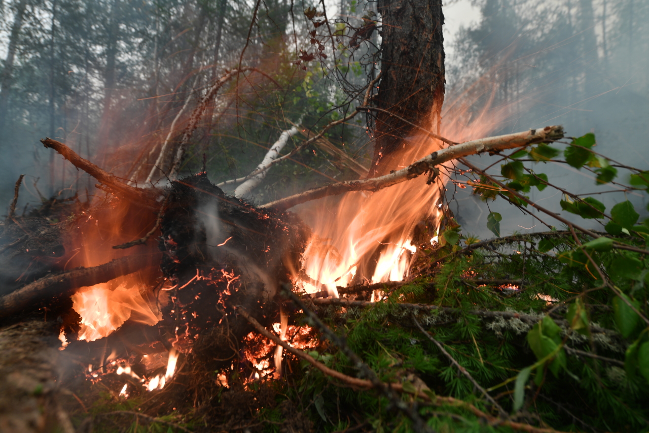 В лесах Кировской области с 9 октября завершен пожароопасный сезон.