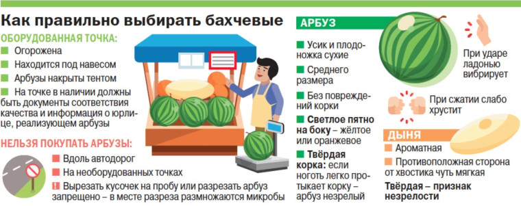 3 августа будет отмечаться День арбуза. 3 августа будет отмечаться День арбуза.