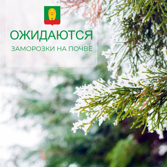 Ожидаются заморозки до -3 градусов. Ожидаются заморозки до -3 градусов.