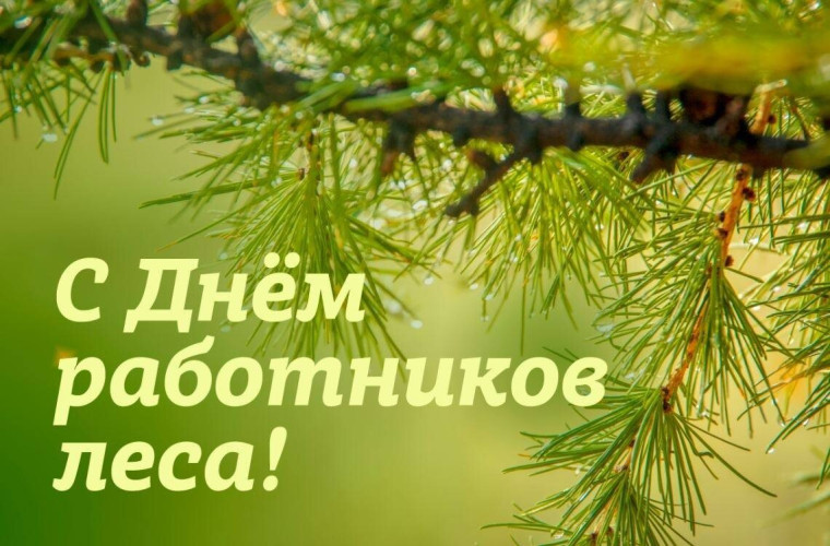 День работников леса.