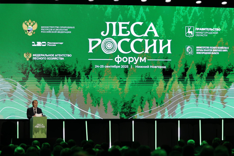 Алексей Кузьмицкий: решение вопросов повышения эффективности использования потенциала лесного фонда, а также совершенствования  системы управления лесными ресурсами будет способствовать  сохранению и преумножению лесов России.