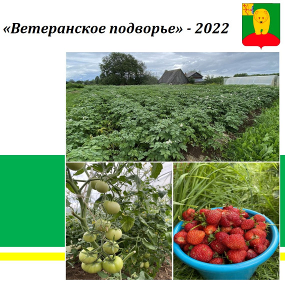 "Ветеранское подворье"-2022. "Ветеранское подворье"-2022.