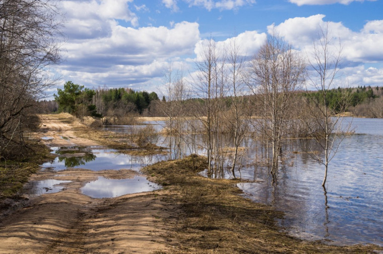 В Кировской области большого подъема воды в половодье не прогнозируется.