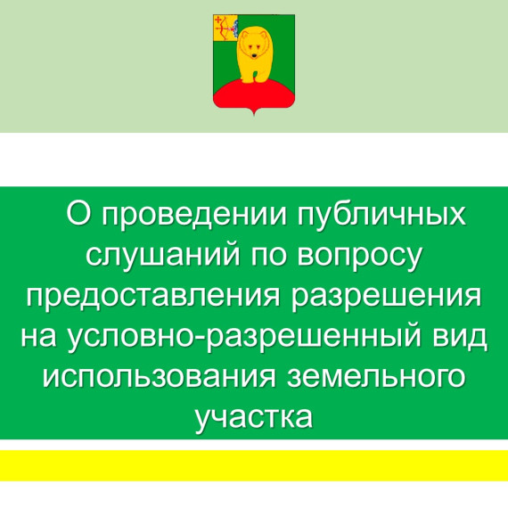 О проведении публичных слушаниях.