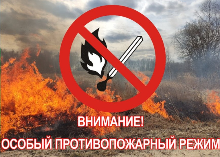 На территории  Кировской области введен особый противопожарный режим.