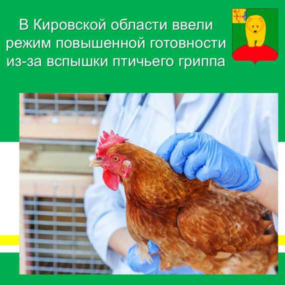 В Кировской области ввели режим повышенной готовности из-за вспышки птичьего гриппа. В Кировской области ввели режим повышенной готовности из-за вспышки птичьего гриппа.