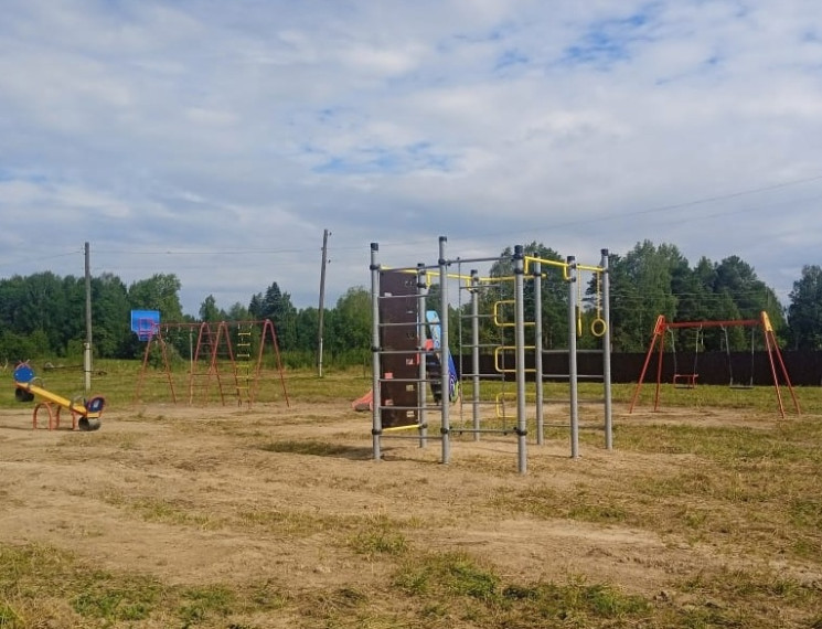В деревне Верхняя Тимофеевская в рамках ППМИ-2022 установлена новая детская площадка.