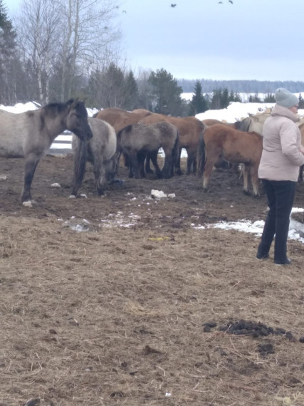 "Прикамье" и агрофирма "Гордино" принимали гостей.